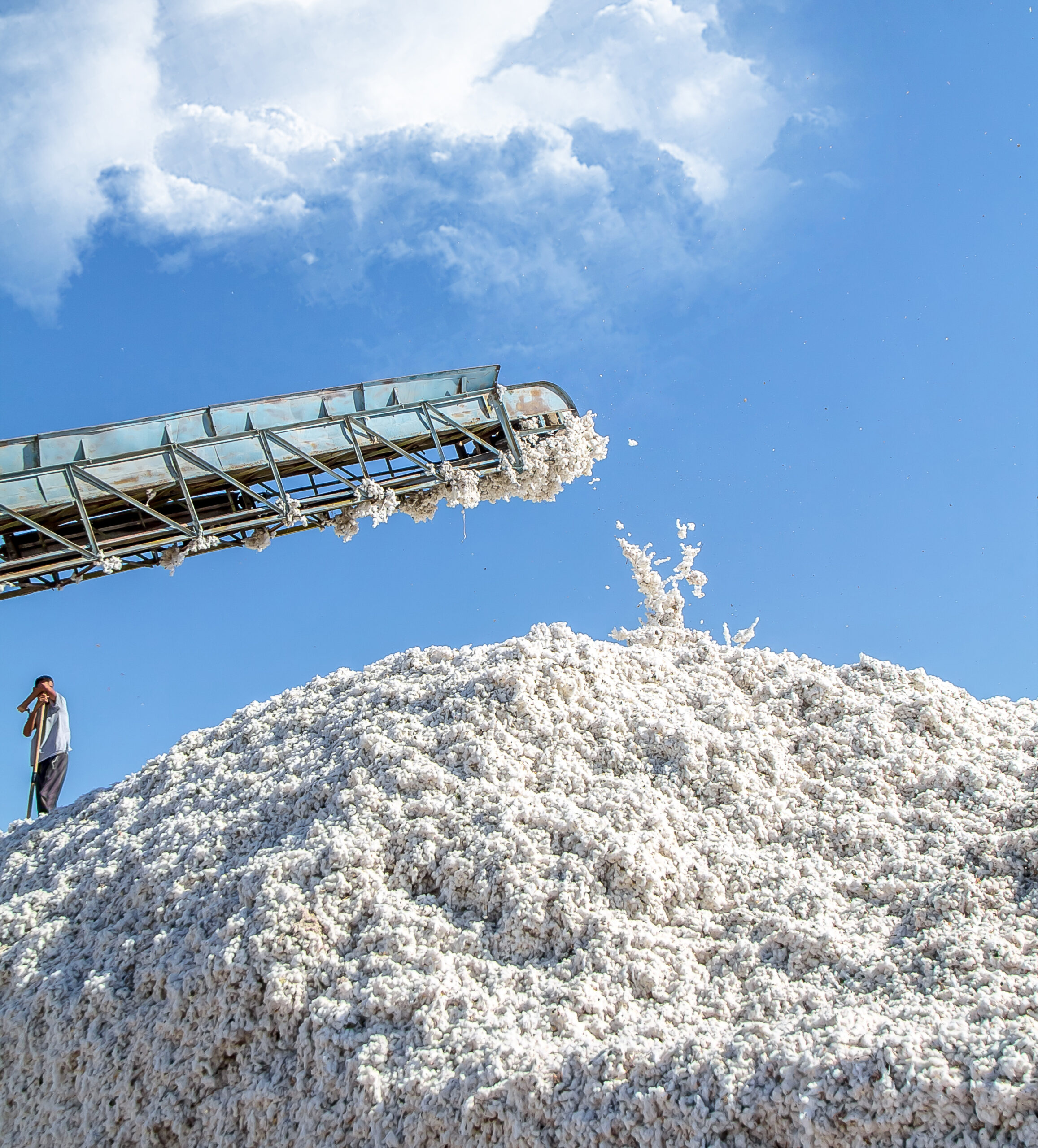 A big pile of raw cotton against the sky in a cotton plant